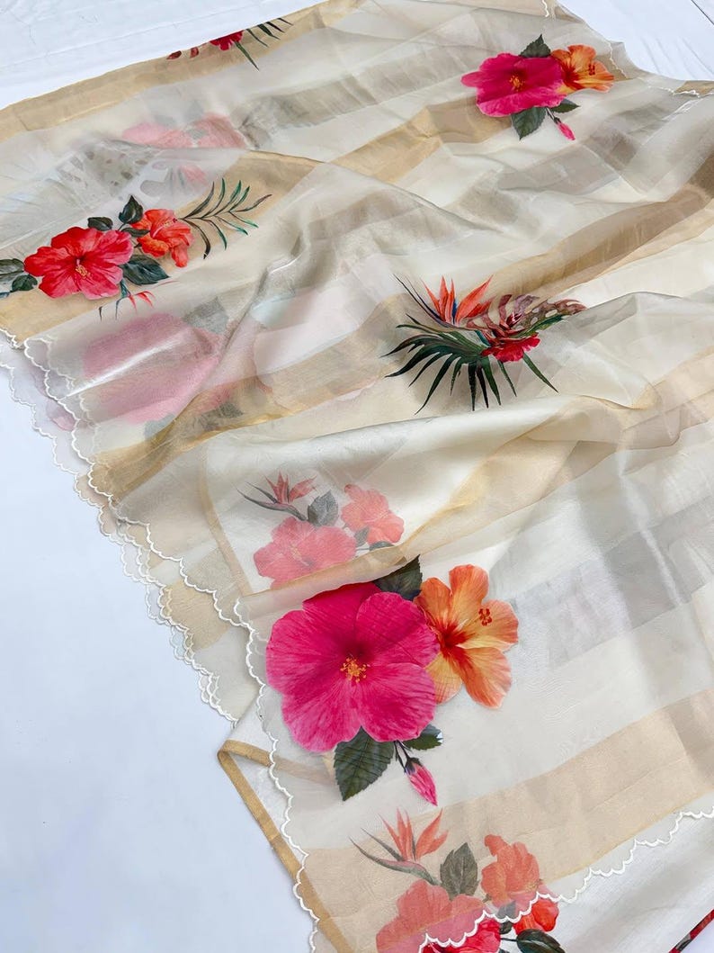 Tissue Crush & Organza Hand Brush Saree