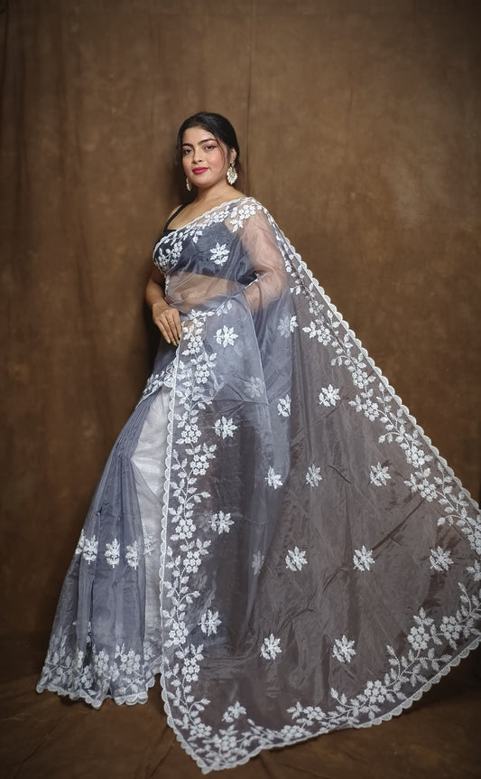 Premium Chiffon Saree with Hakoba Resham Blouse Piece