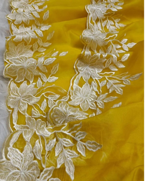 Kora Organza Embroidery Work Saree