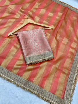 Tissue Organza Saree with Lace Work