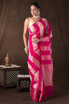 Tissue Crush and Organza Saree