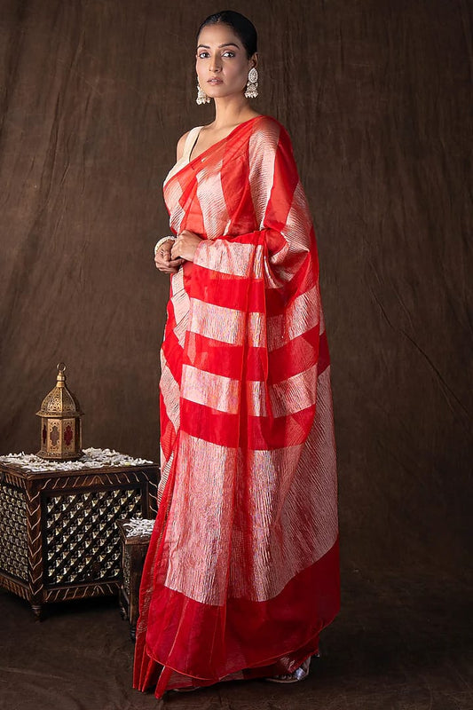 Tissue Crush and Organza Saree