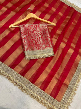 Tissue Organza Saree with Lace Work