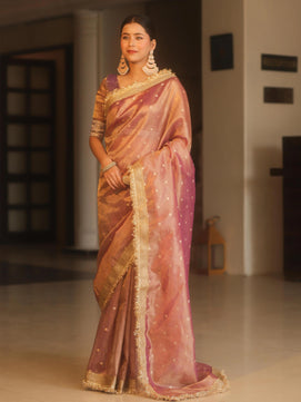 Banarasi Tissue Silk Saree with Lace Work