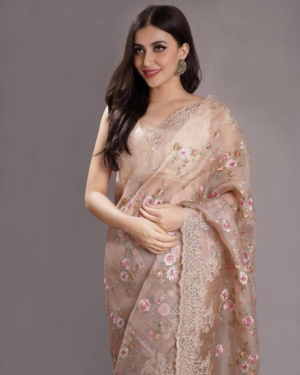 Banarasi Organza Saree