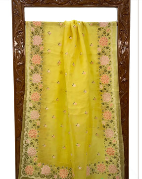 Kora Organza Saree with Embroidery Work