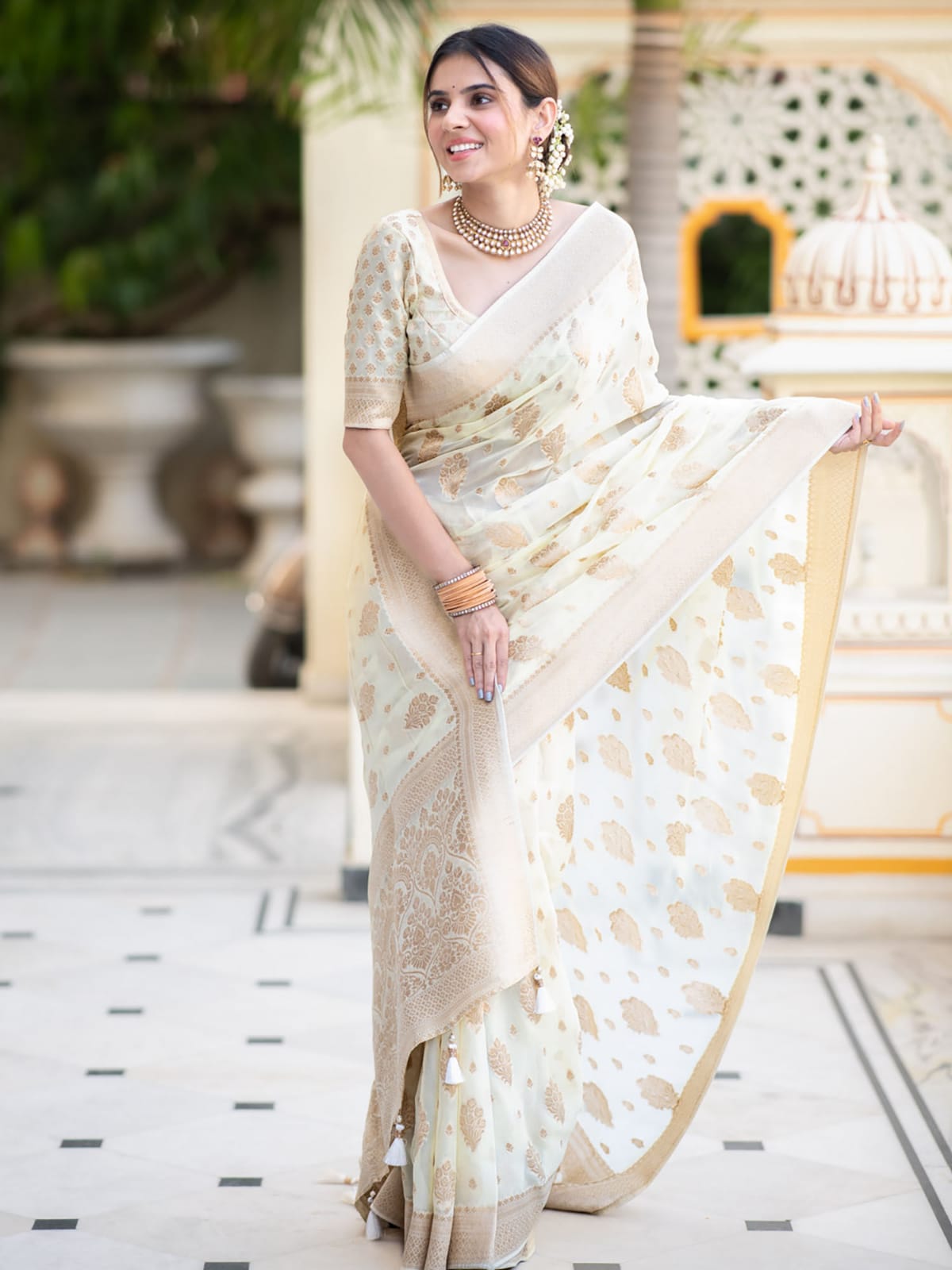 Banarasi Georgette Saree