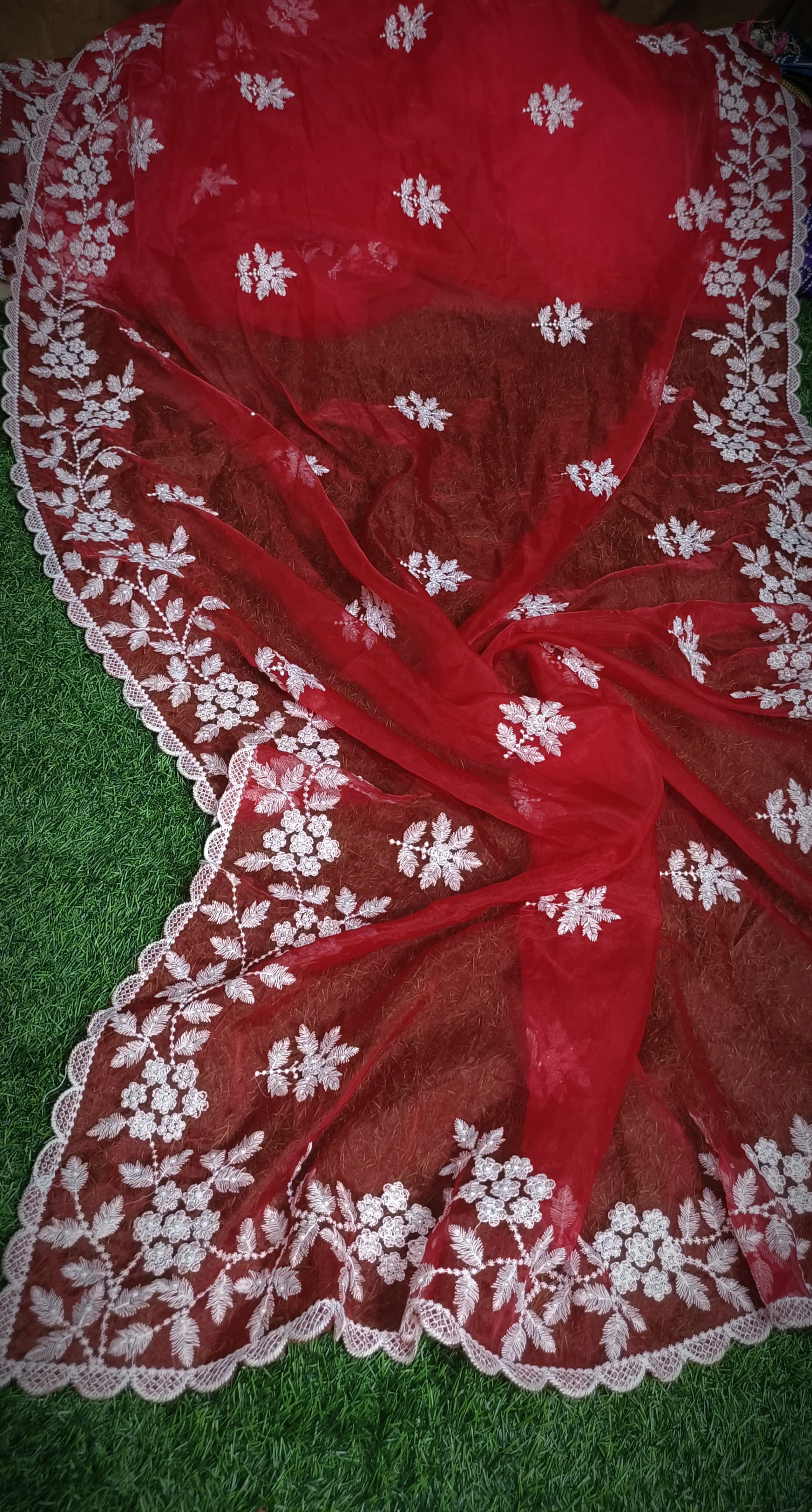 Premium Chiffon Saree with Hakoba Resham Blouse Piece