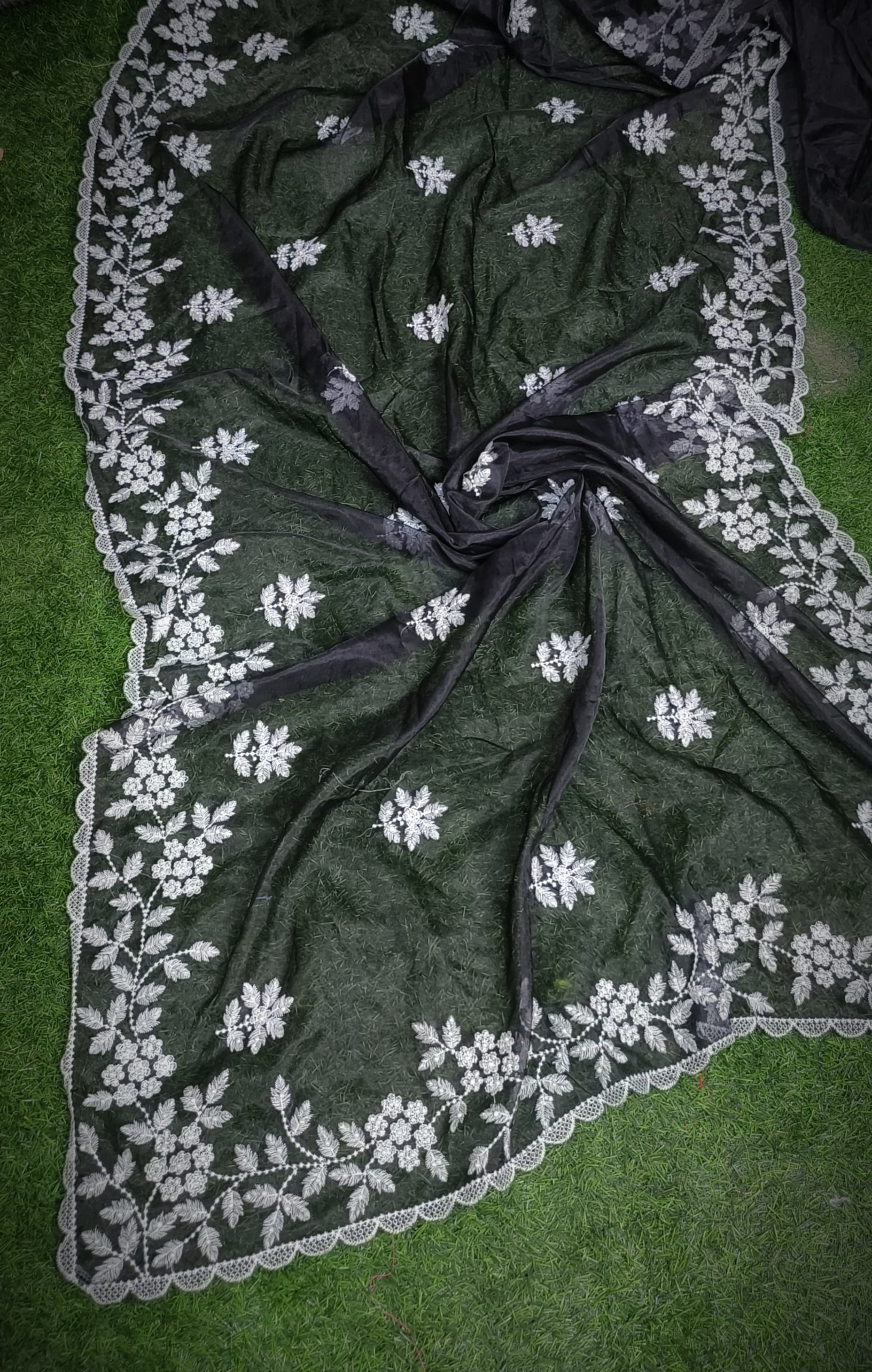 Premium Chiffon Saree with Hakoba Resham Blouse Piece
