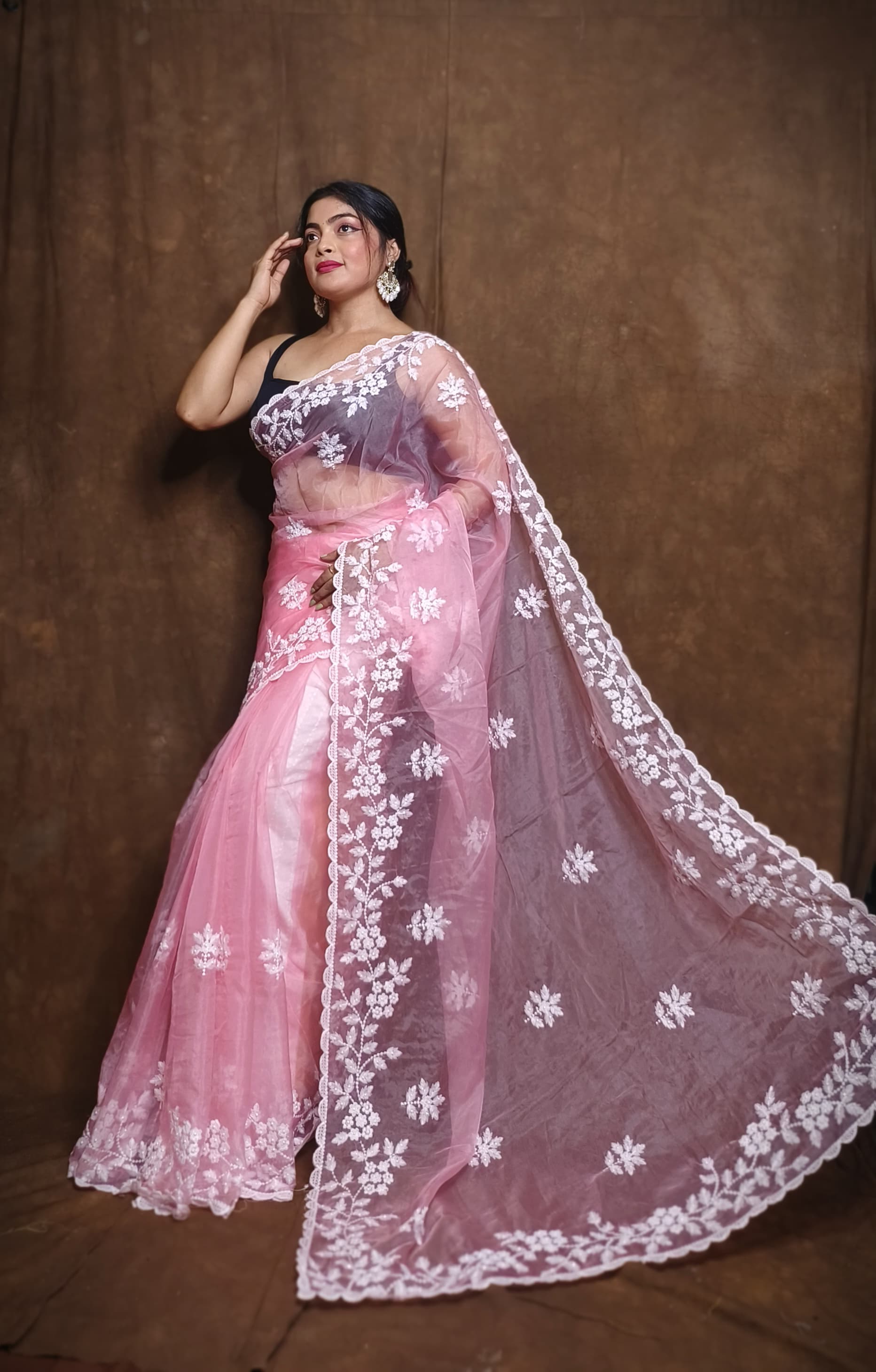 Premium Chiffon Saree with Hakoba Resham Blouse Piece