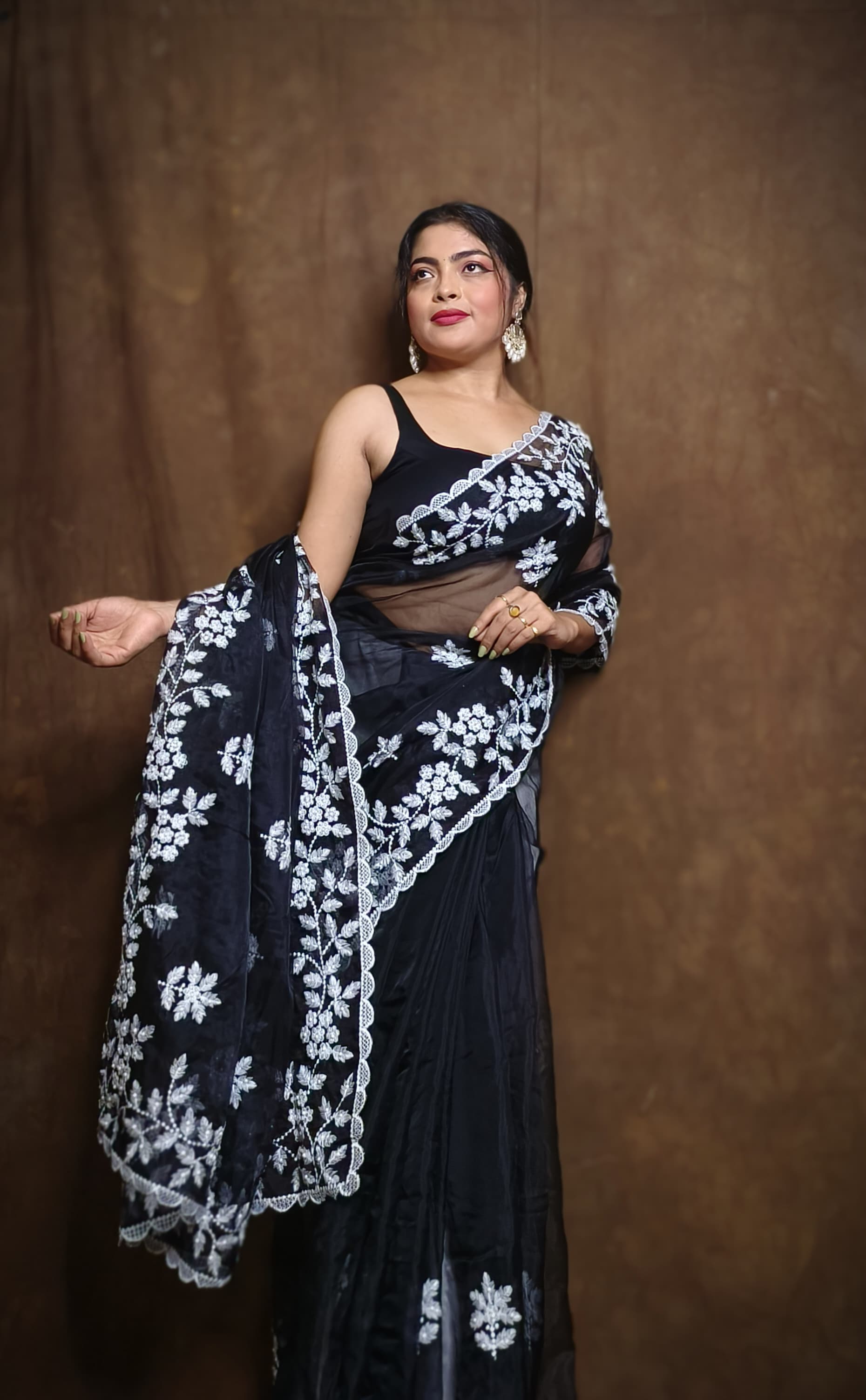 Premium Chiffon Saree with Hakoba Resham Blouse Piece