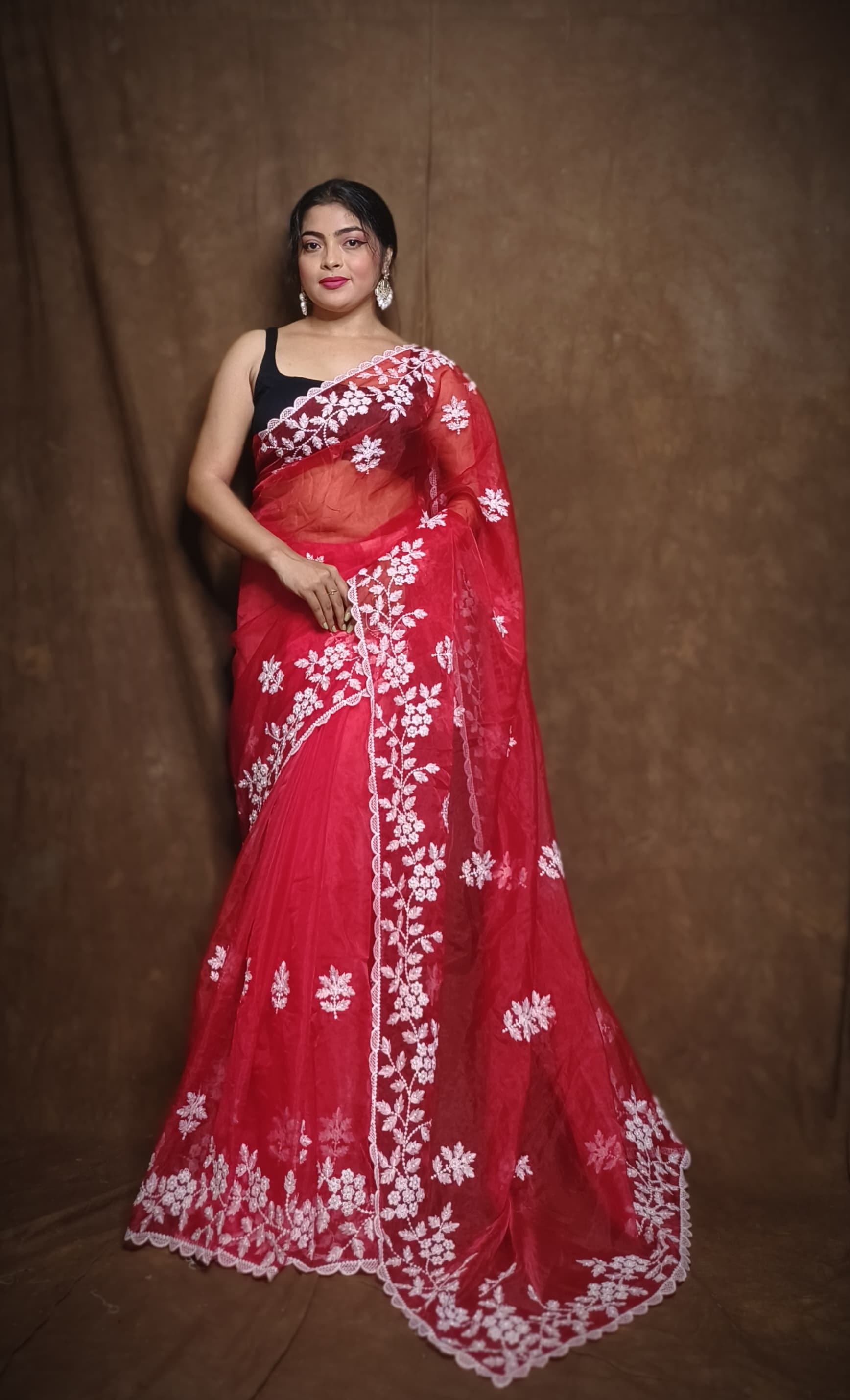 Premium Chiffon Saree with Hakoba Resham Blouse Piece