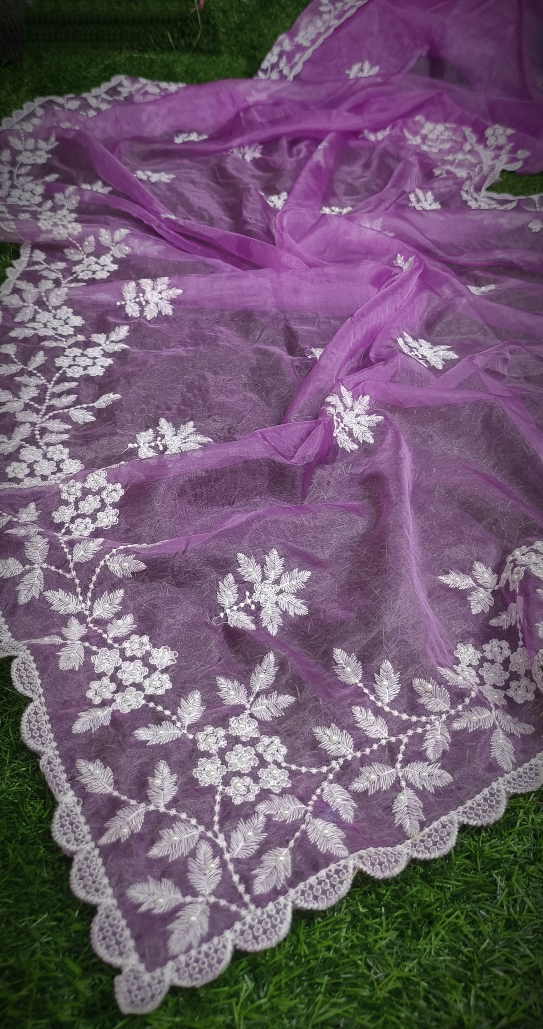 Premium Chiffon Saree with Hakoba Resham Blouse Piece
