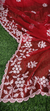 Premium Chiffon Saree with Hakoba Resham Blouse Piece