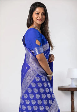 Banarasi Georgette Katan Handloom Silk Saree