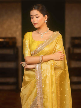 Banarasi Tissue Silk Saree with Lace Work