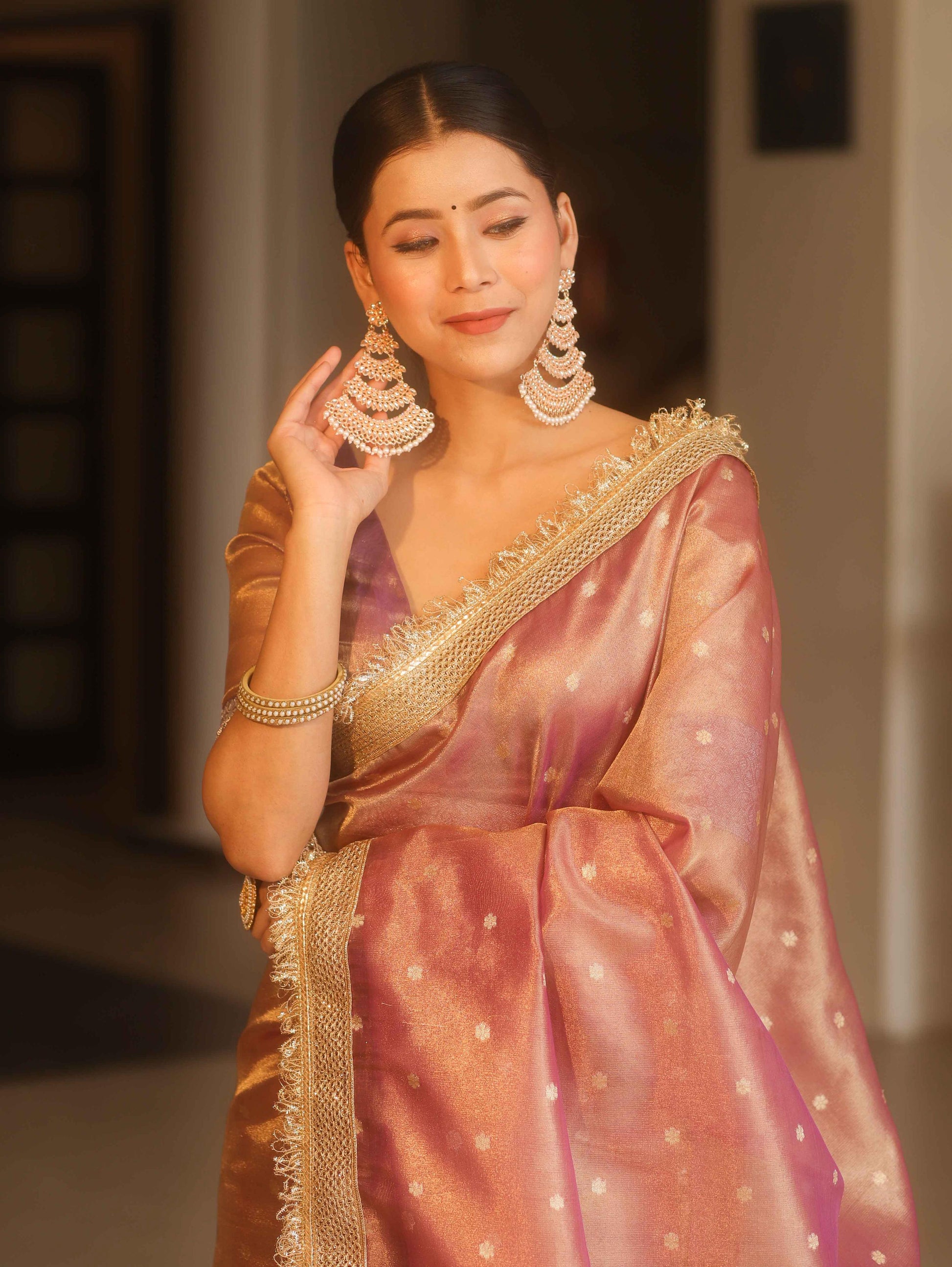 Banarasi Tissue Silk Saree with Lace Work