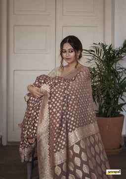 Raw Mango Silk Saree