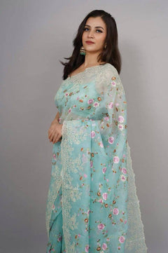 Banarasi Organza Saree