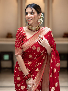 Banarasi Georgette Saree