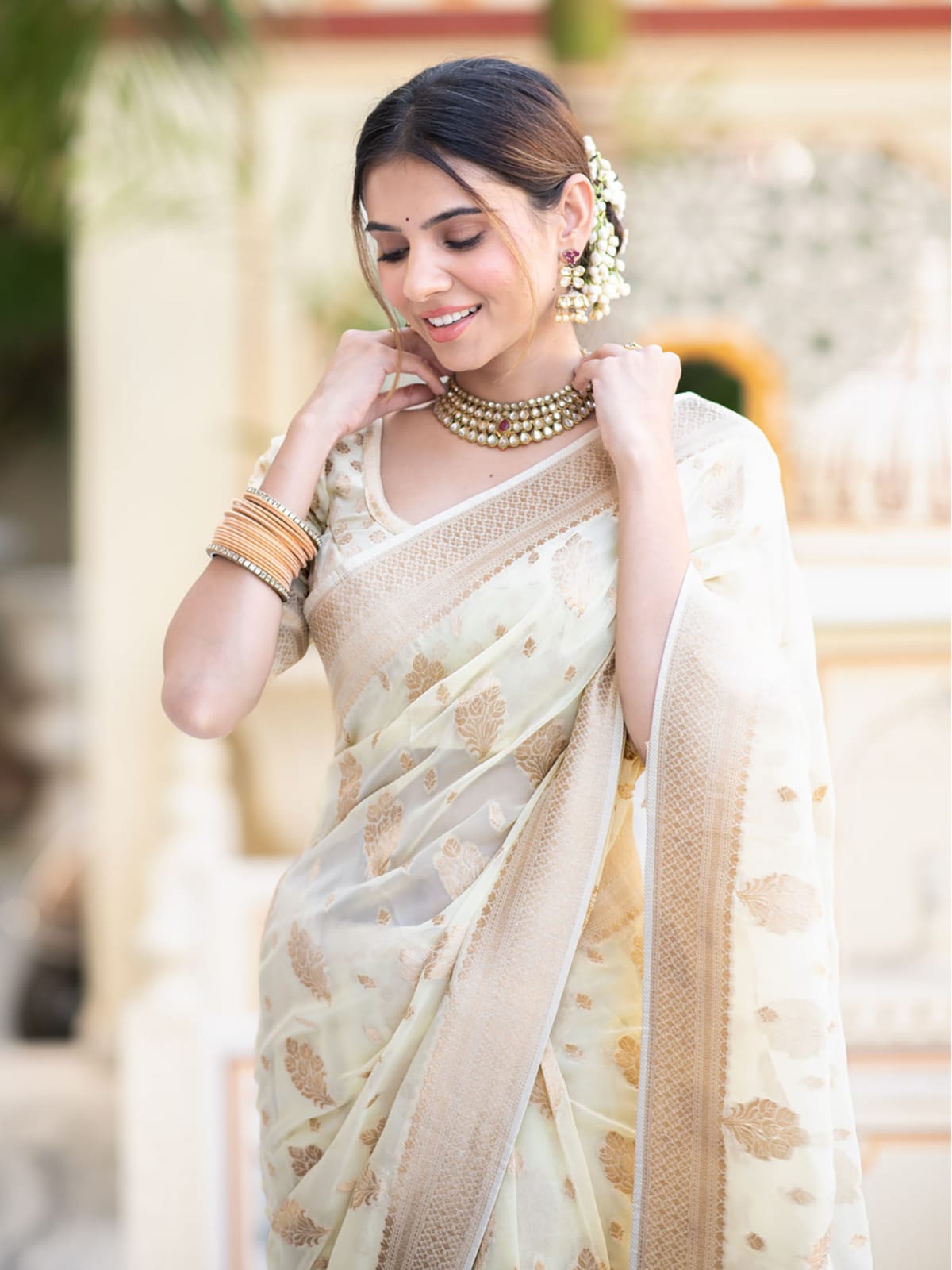Banarasi Georgette Saree