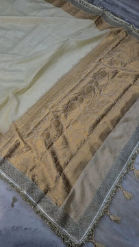Warm Silk Saree with Lace Work