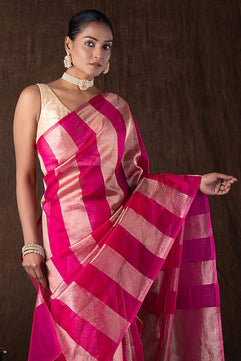 Tissue Crush and Organza Saree