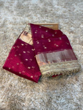 Banarasi Tissue Saree with Lace Work