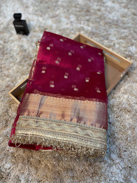 Banarasi Tissue Saree with Lace Work