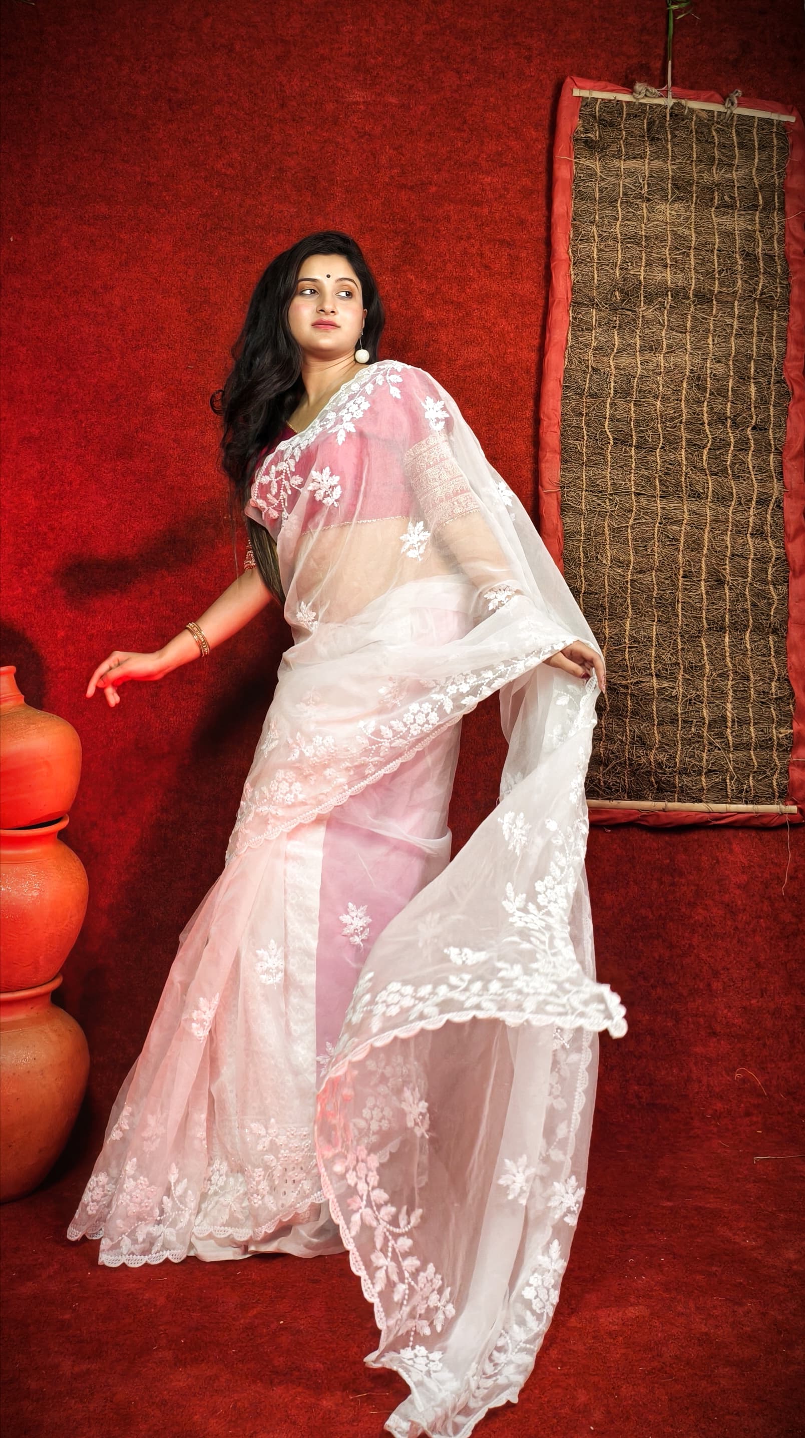 Premium Chiffon Saree with Hakoba Resham Blouse Piece