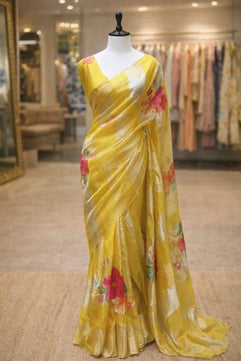Tissue Crush & Organza Hand Brush Saree