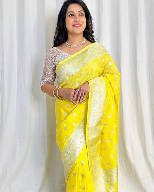 Banarasi Georgette Katan Handloom Silk Saree